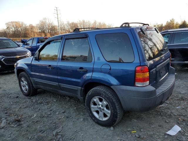 2007 Ford Escape XLT