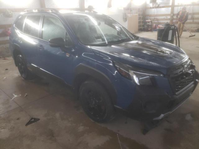 2023 Subaru Forester Wilderness