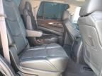 2015 Cadillac Escalade Luxury