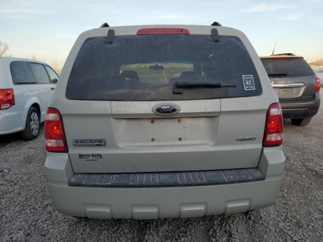 2008 Ford Escape XLT