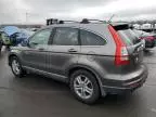 2010 Honda CR-V EXL