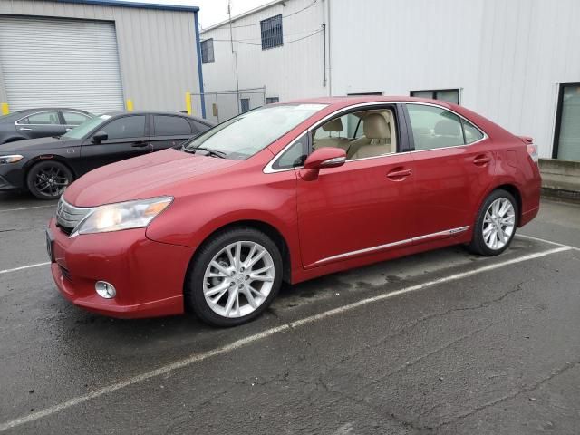 2010 Lexus HS 250H