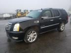 2010 Cadillac Escalade Premium