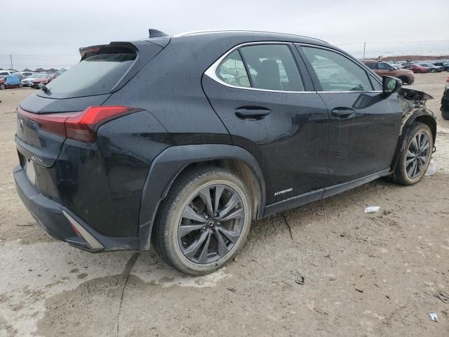 2019 Lexus UX 250H