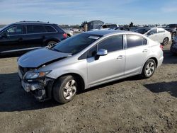 Salvage cars for sale at Antelope, CA auction: 2013 Honda Civic LX