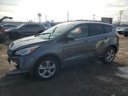 Salvage cars for sale at auction: 2014 Ford Escape SE