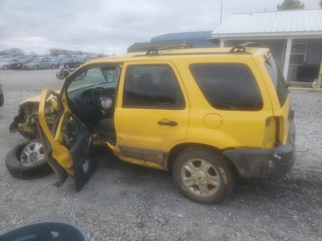 2003 Ford Escape XLT