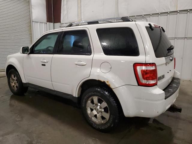 2011 Ford Escape Limited