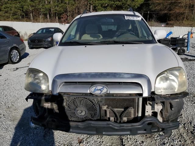 2005 Hyundai Santa FE GLS