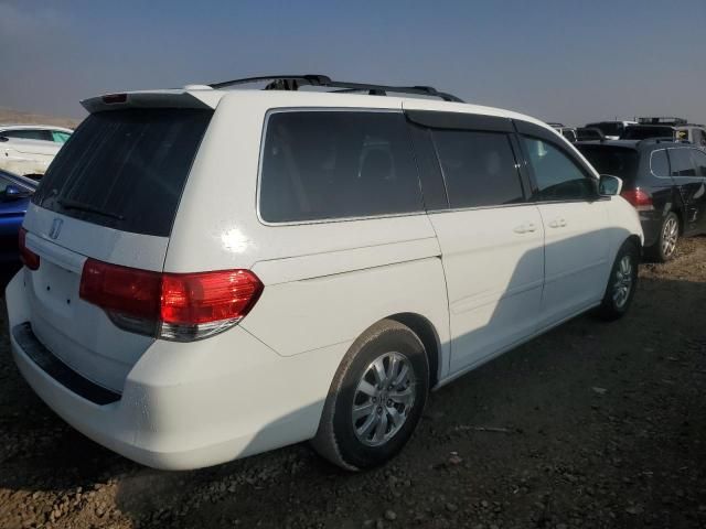 2010 Honda Odyssey EXL