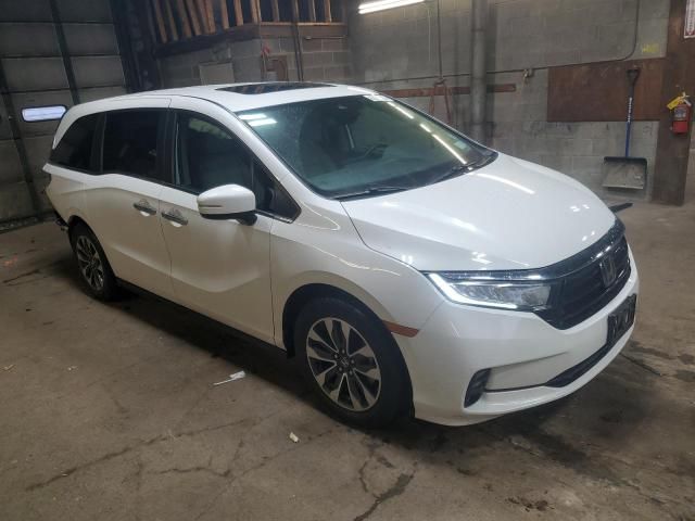 2021 Honda Odyssey EXL