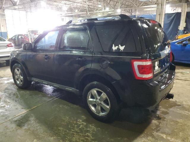 2010 Ford Escape Limited