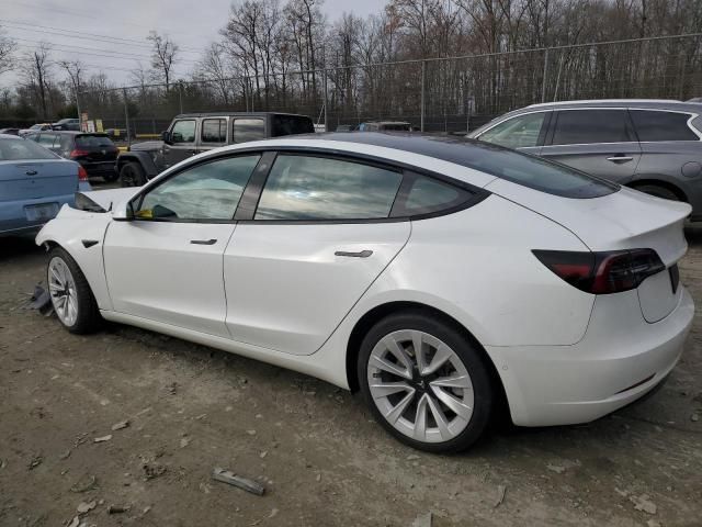 2021 Tesla Model 3