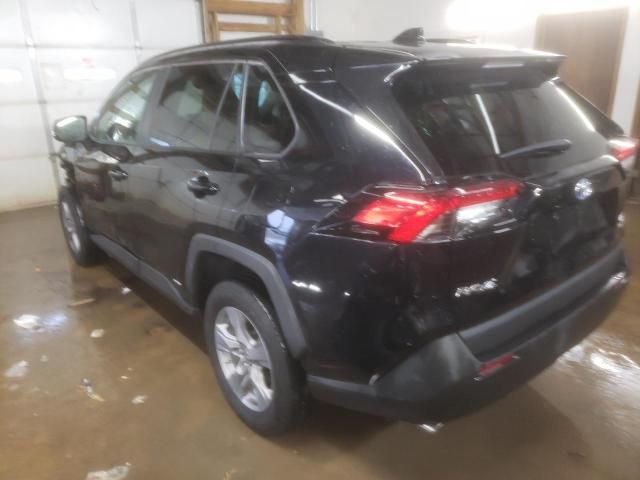 2023 Toyota Rav4 LE