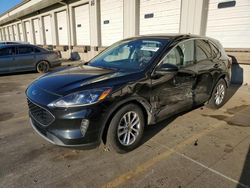 Salvage cars for sale at Louisville, KY auction: 2020 Ford Escape SE