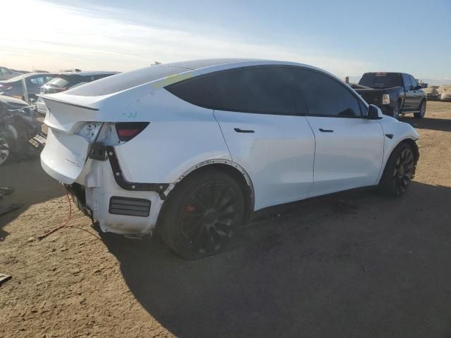 2020 Tesla Model Y