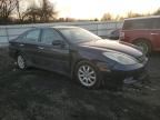 2003 Lexus ES 300