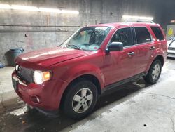 Salvage cars for sale from Copart Angola, NY: 2011 Ford Escape XLT