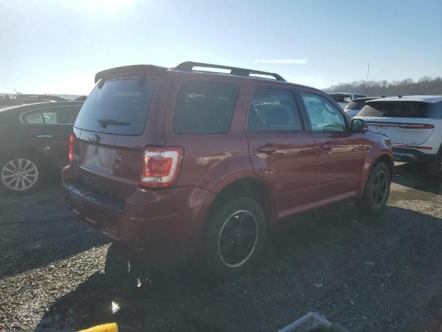 2009 Ford Escape XLT