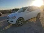 2006 Mercedes-Benz ML 500