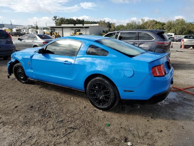 2010 Ford Mustang