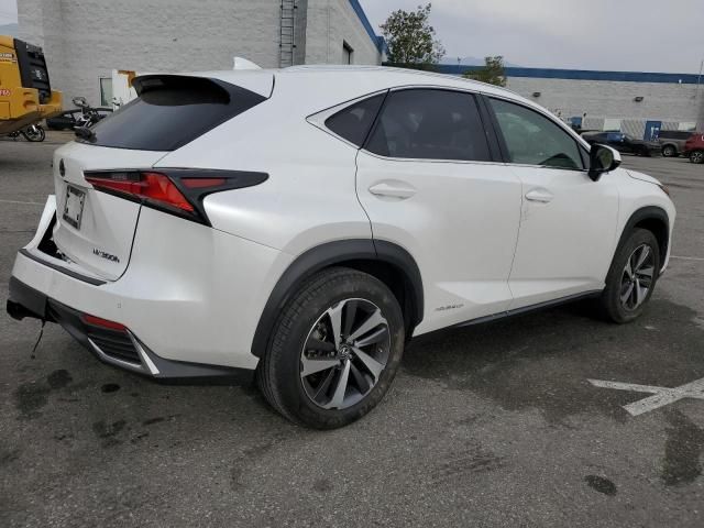 2019 Lexus NX 300H