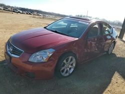 Nissan salvage cars for sale: 2008 Nissan Maxima SE