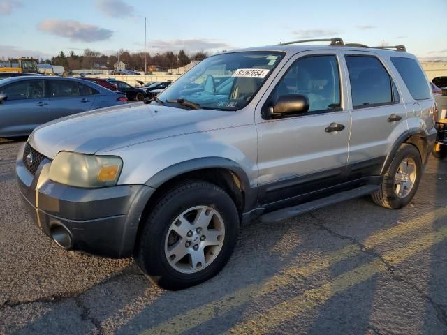 2005 Ford Escape XLT