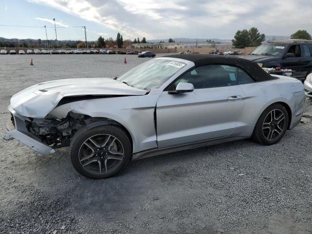 2019 Ford Mustang