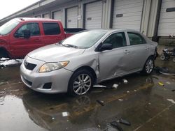 Salvage cars for sale at Louisville, KY auction: 2010 Toyota Corolla Base