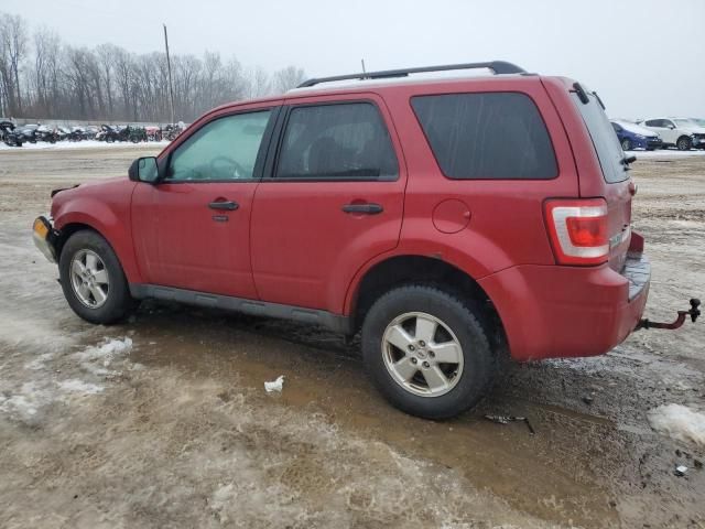 2011 Ford Escape XLT