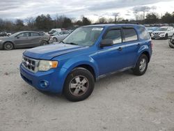 Salvage cars for sale at Madisonville, TN auction: 2011 Ford Escape XLT