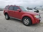 2009 Ford Escape Limited