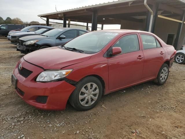 2010 Toyota Corolla Base