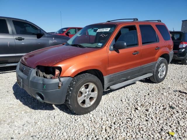 2006 Ford Escape XLT