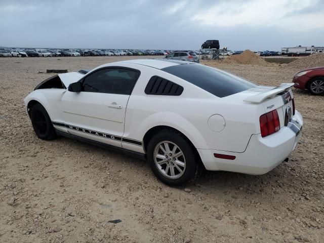 2005 Ford Mustang