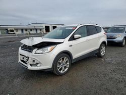 Salvage cars for sale at Lumberton, NC auction: 2016 Ford Escape Titanium