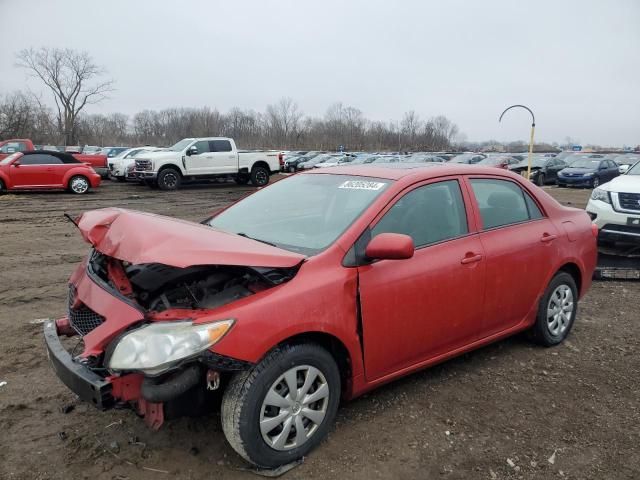 2010 Toyota Corolla Base