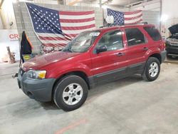 Salvage cars for sale at Columbia, MO auction: 2007 Ford Escape XLT