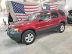 2007 Ford Escape XLT