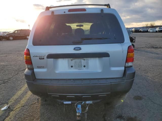 2005 Ford Escape XLT