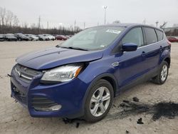 Ford salvage cars for sale: 2016 Ford Escape SE