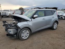 Salvage cars for sale at Kapolei, HI auction: 2022 KIA Soul LX