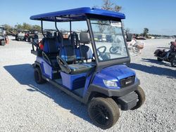 Salvage trucks for sale at Riverview, FL auction: 2023 Citc Low Speed