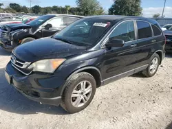 Salvage cars for sale at Apopka, FL auction: 2010 Honda CR-V EX