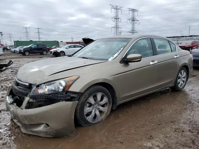 2010 Honda Accord EXL