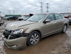 Salvage cars for sale at Elgin, IL auction: 2010 Honda Accord EXL