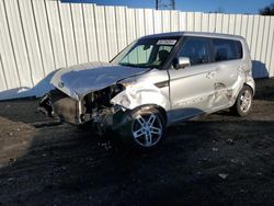 Salvage cars for sale at Windsor, NJ auction: 2011 KIA Soul +