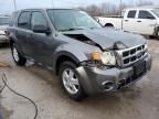 2011 Ford Escape XLS