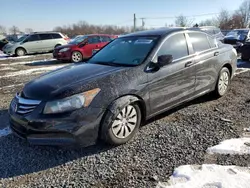 Salvage cars for sale at Hillsborough, NJ auction: 2012 Honda Accord LX